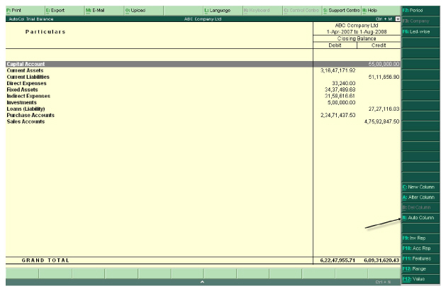 Figure_9.11_Auto_Column_Reports.jpg