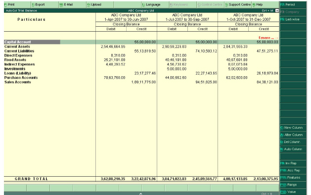 Figure_9.13_Auto_Column_Report.jpg