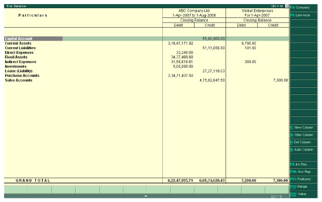 Figure_9.14_Displaying_Trial_Balance_for_two_different_companies.jpg