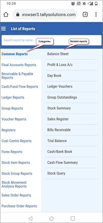 Categories and Related Reports in Tally Reports in Browsers (Mobile-Responsive Design)