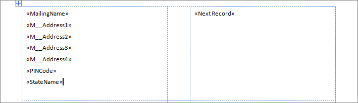 More Labels Copied for Label Printing Using ODBC in TallyPrime